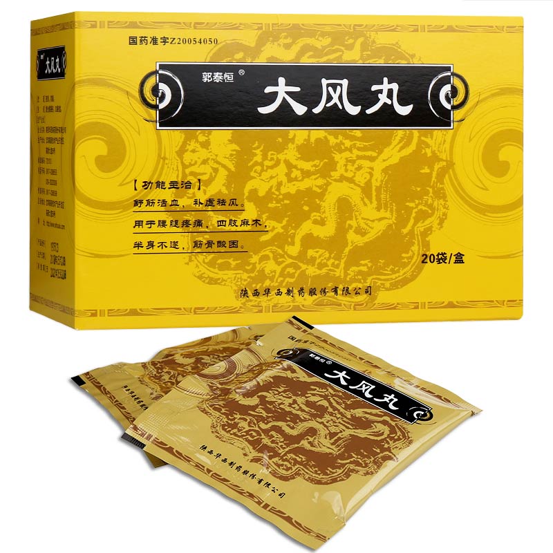 郭泰恒 大风丸 9g*20袋